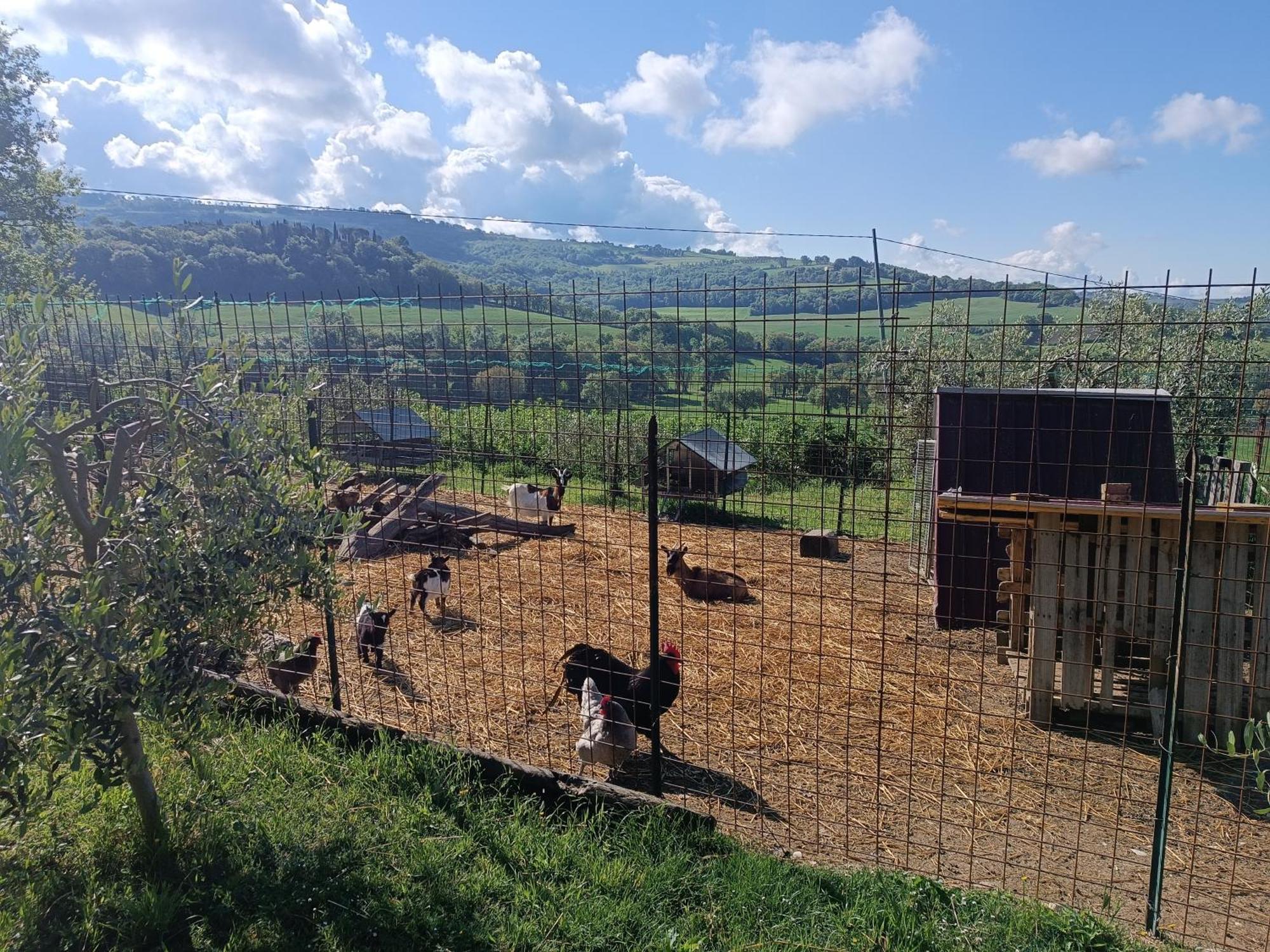 La Piccola Fattoria Villa Todi Ngoại thất bức ảnh