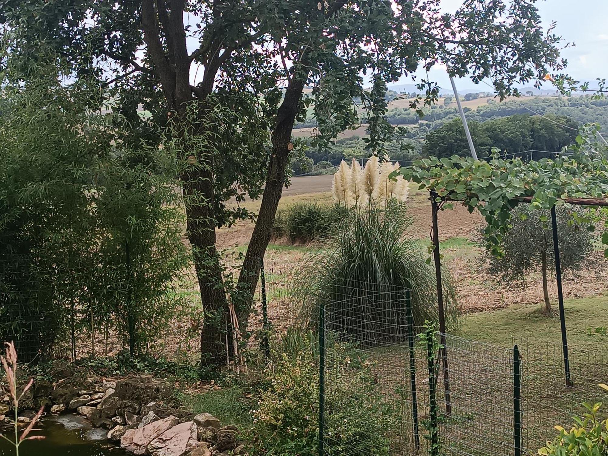 La Piccola Fattoria Villa Todi Ngoại thất bức ảnh