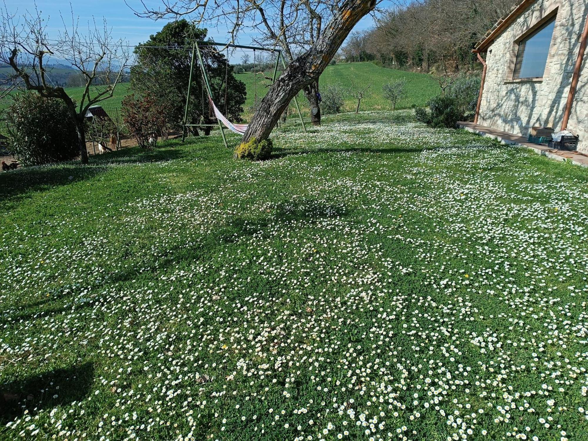 La Piccola Fattoria Villa Todi Ngoại thất bức ảnh